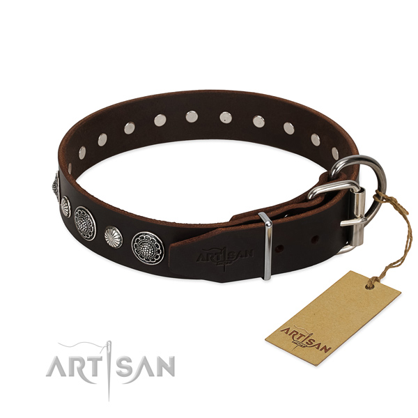 Strong full grain genuine leather dog collar with fashionable embellishments