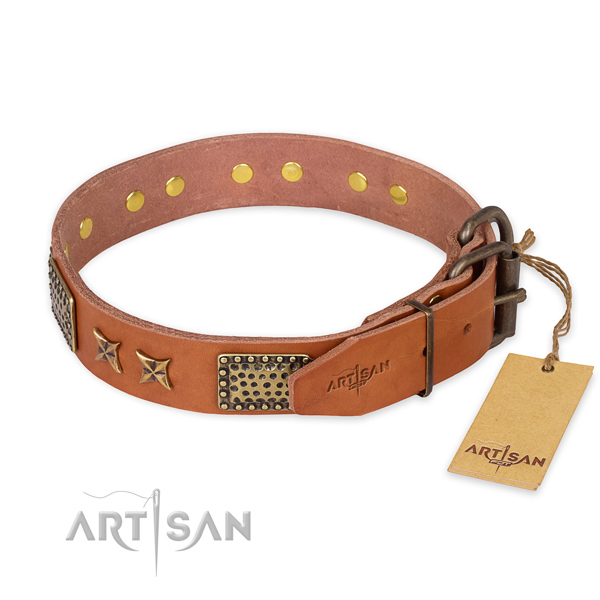Reliable hardware on natural genuine leather collar for your stylish doggie