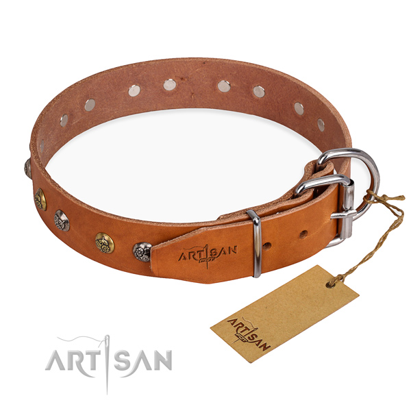 Full grain natural leather dog collar with fashionable corrosion resistant studs