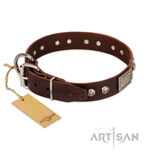 Corrosion resistant traditional buckle on comfortable wearing dog collar