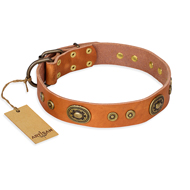 "Dandy Pet" FDT Artisan Handcrafted Tan Leather Rottweiler Collar "Dandy Pet" FDT Artisan Handcrafted Tan Leather Rottweiler Collar