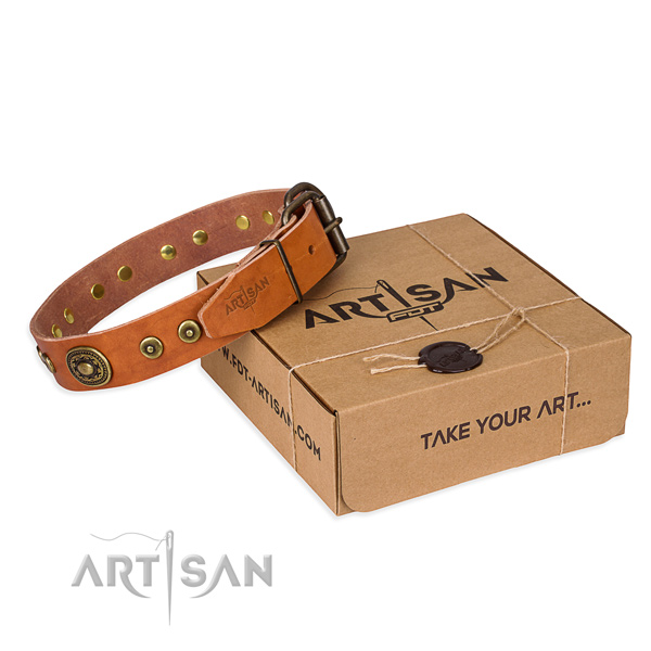 Full grain natural leather dog collar made of gentle to touch material with strong D-ring