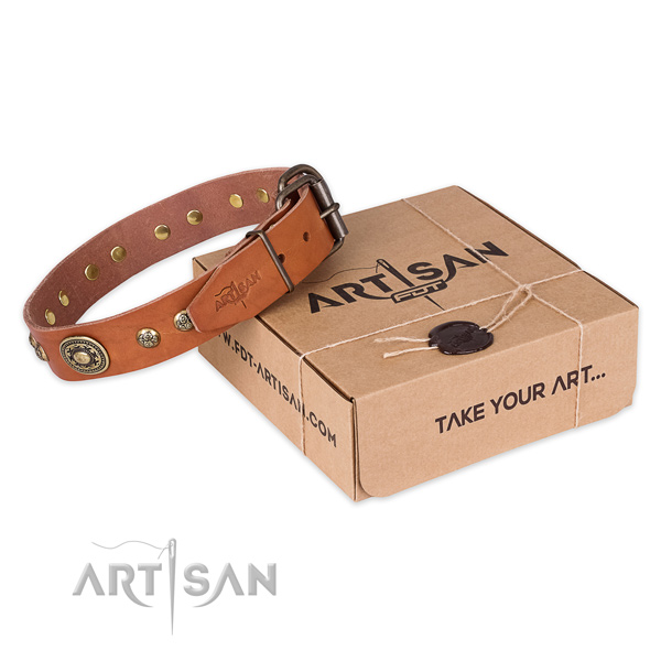 Rust resistant D-ring on natural leather dog collar for stylish walking