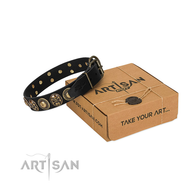 Rust-proof traditional buckle on dog collar for comfy wearing