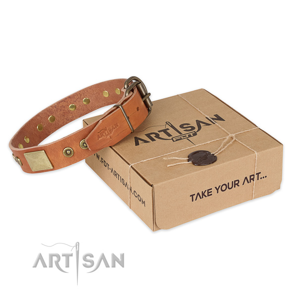 Reliable fittings on full grain natural leather dog collar for easy wearing