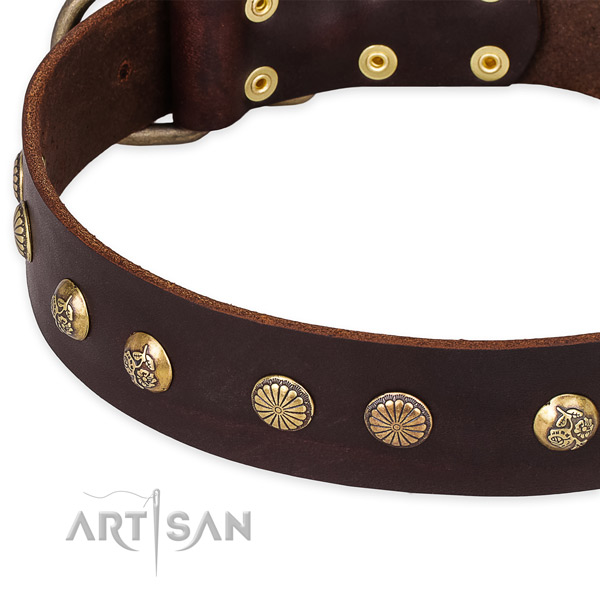 Full grain genuine leather collar with durable fittings for your attractive dog