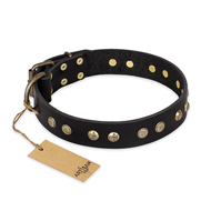 "Black Elegance" FDT Artisan Leather Rottweiler Collar with Round Studs "Black Elegance" FDT Artisan Leather Rottweiler Collar with Round Studs