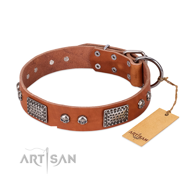 Easy wearing full grain genuine leather dog collar for daily walking your pet