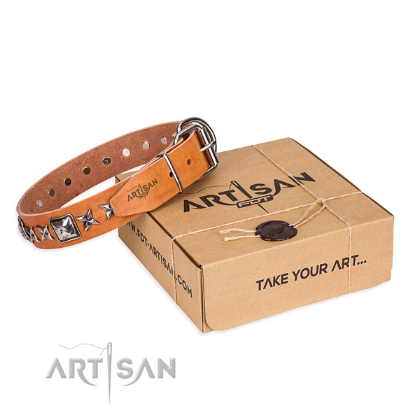 Handy use full grain leather dog collar with adornments