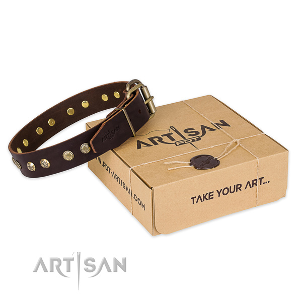 Corrosion proof hardware on full grain genuine leather collar for your stylish canine