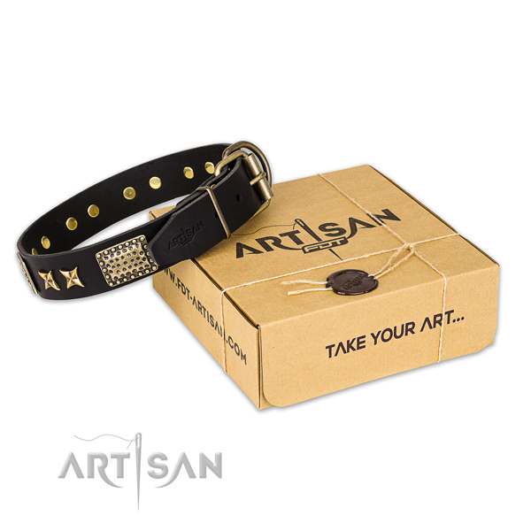 Rust-proof traditional buckle on leather collar for your handsome pet