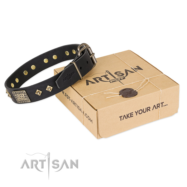 Top notch leather collar for your impressive dog