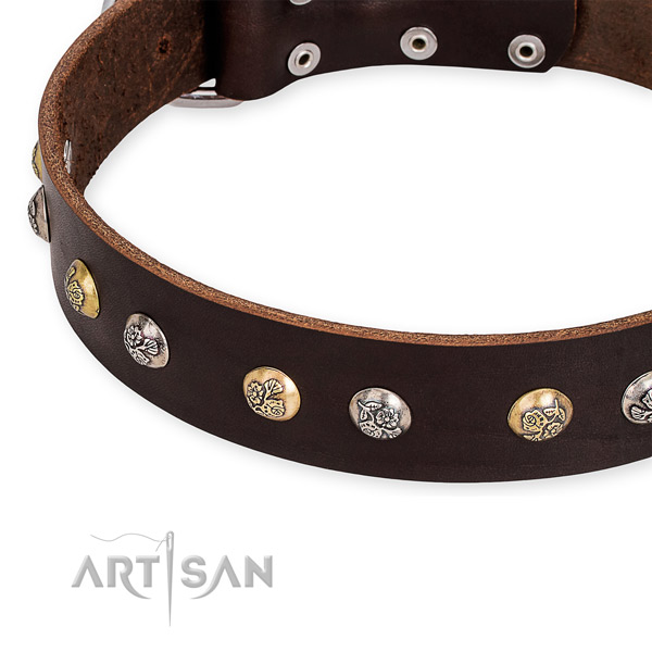 Full grain genuine leather dog collar with exceptional corrosion resistant decorations