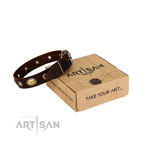 Reliable fittings on natural leather dog collar for your canine