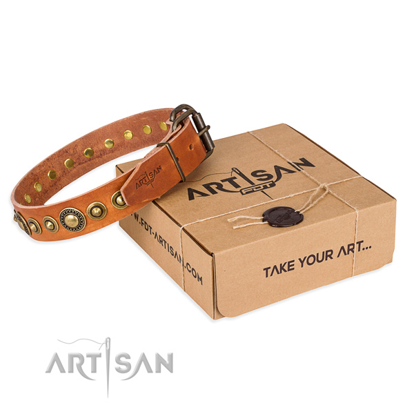 Gentle to touch leather dog collar crafted for comfy wearing