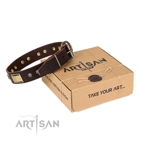Designer leather collar for your handsome doggie