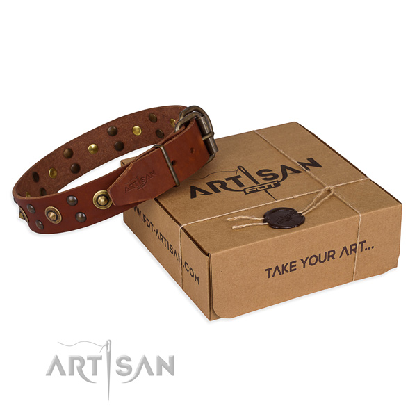 Rust-proof fittings on full grain leather collar for your handsome four-legged friend
