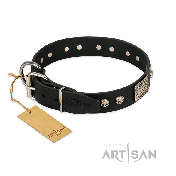 Rust-proof adornments on stylish walking dog collar