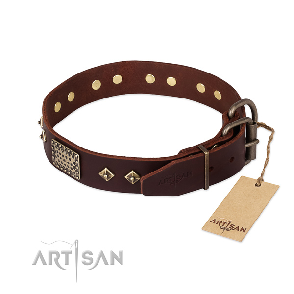 Full grain genuine leather dog collar with corrosion resistant fittings and embellishments