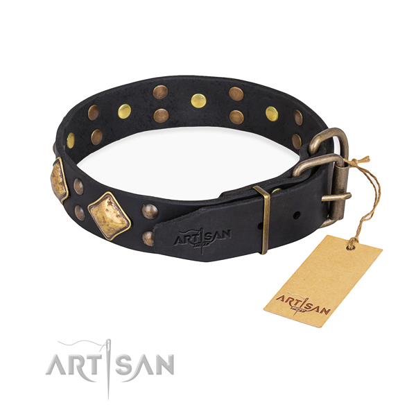 Full grain leather dog collar with significant corrosion resistant embellishments