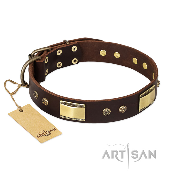 Genuine leather dog collar with corrosion resistant buckle and embellishments
