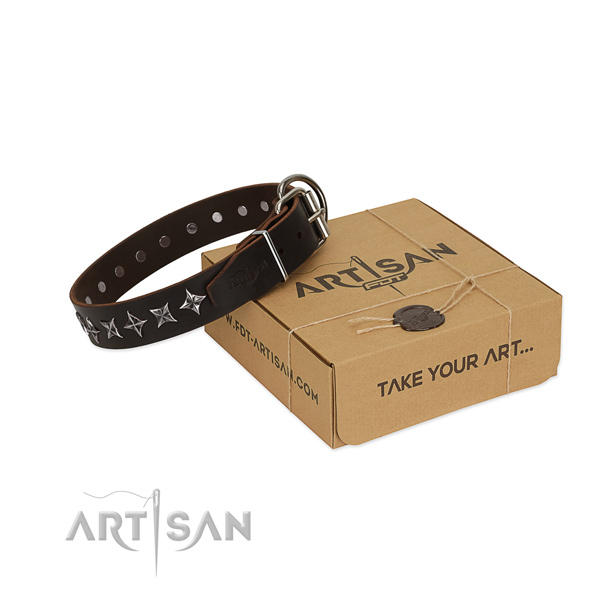 Daily use dog collar of high quality genuine leather with adornments
