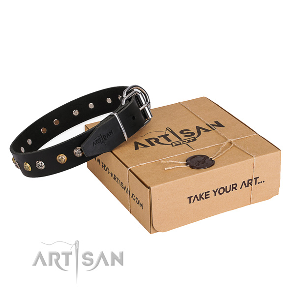 Top notch leather dog collar made for everyday walking