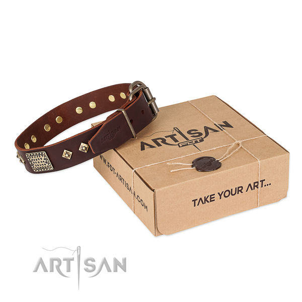 Decorated leather collar for your impressive canine