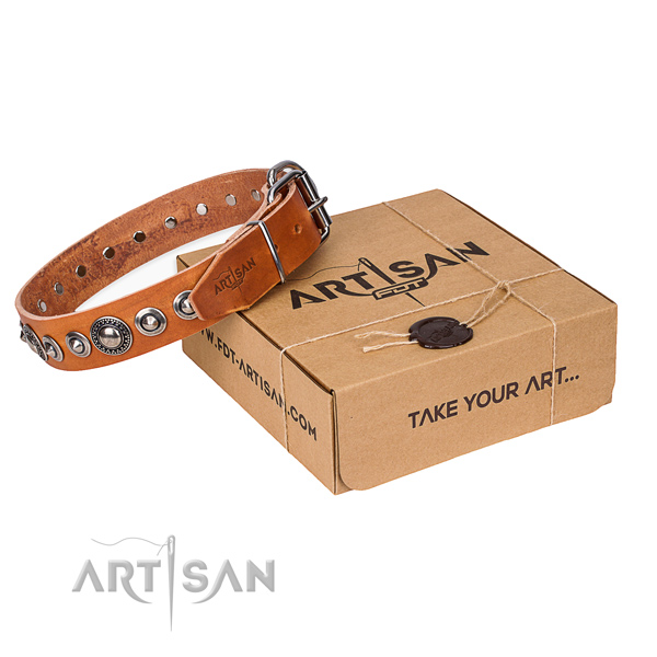 Leather dog collar made of soft to touch material with reliable buckle