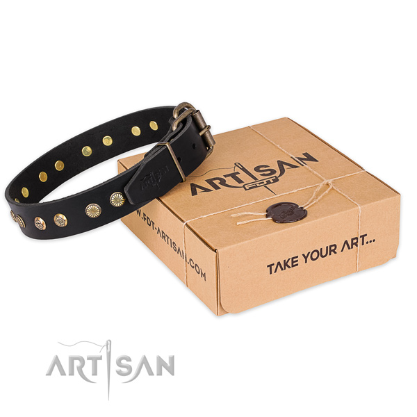 Corrosion resistant buckle on full grain genuine leather collar for your stylish canine