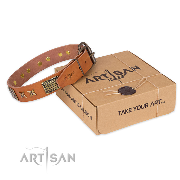Reliable traditional buckle on leather collar for your impressive dog