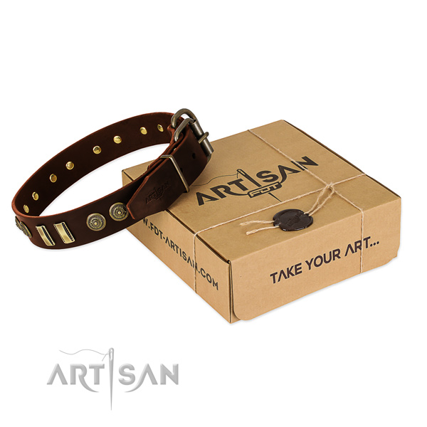 Corrosion proof studs on leather dog collar for your dog