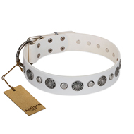 "Fluff-Stuff Beauty" FDT Artisan White Leather Rottweiler Collar with Silver-like Studs and Conchos "Fluff-Stuff Beauty" FDT Artisan White Leather Rottweiler Collar with Silver-like Studs and Conchos