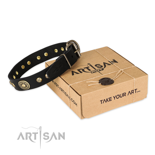 Rust-proof buckle on full grain natural leather dog collar for stylish walking