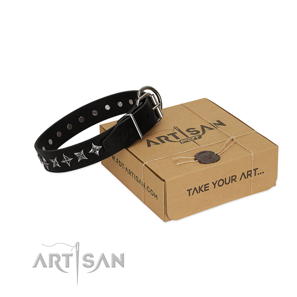 Basic training dog collar of strong natural leather with studs