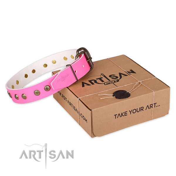 Reliable buckle on natural genuine leather collar for your beautiful four-legged friend