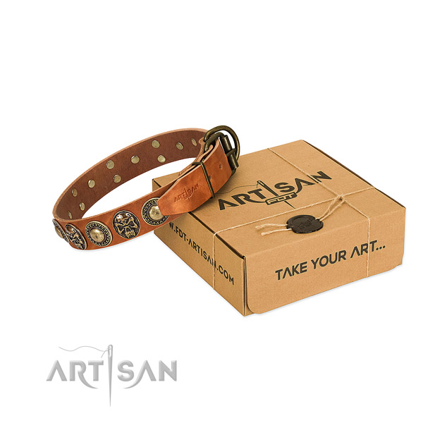 Rust resistant buckle on dog collar for basic training
