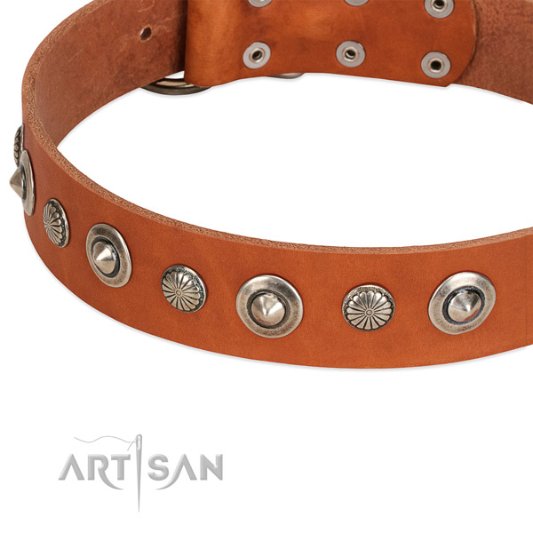 Awesome decorated dog collar of top quality full grain natural leather