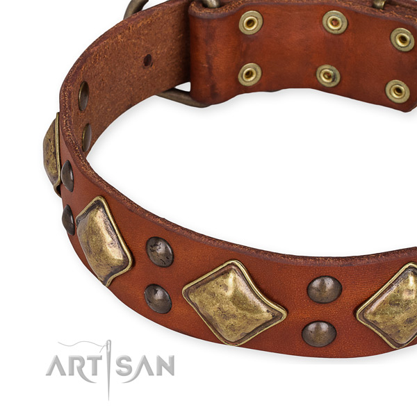 Leather collar with reliable fittings for your lovely dog