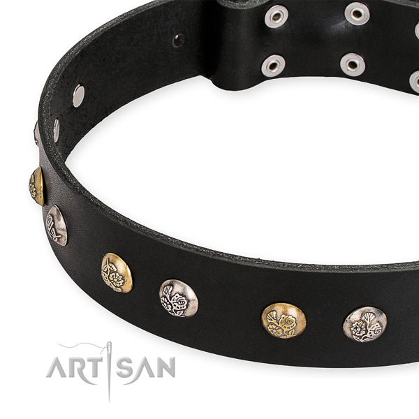 Full grain natural leather dog collar with impressive rust-proof embellishments