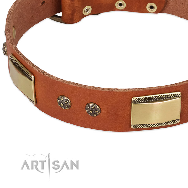 Rust-proof traditional buckle on leather dog collar for your four-legged friend