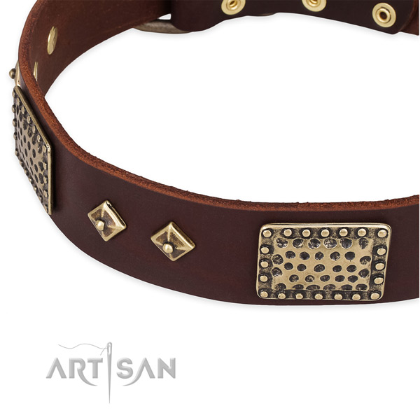 Durable studs on leather dog collar for your doggie