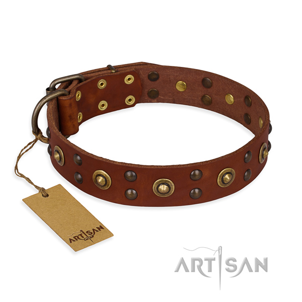 Studded genuine leather dog collar with rust resistant buckle