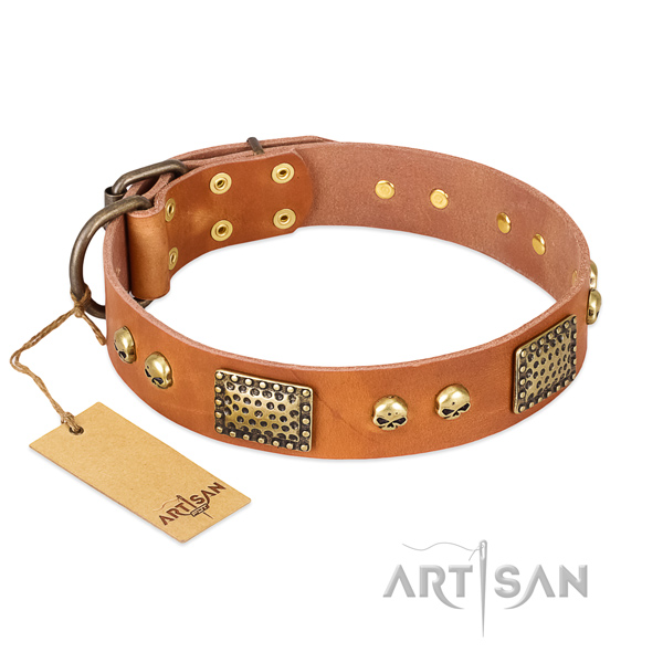 Easy wearing full grain natural leather dog collar for walking your pet