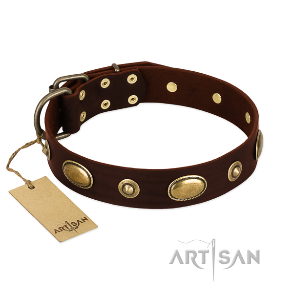 Stunning full grain natural leather collar for your doggie