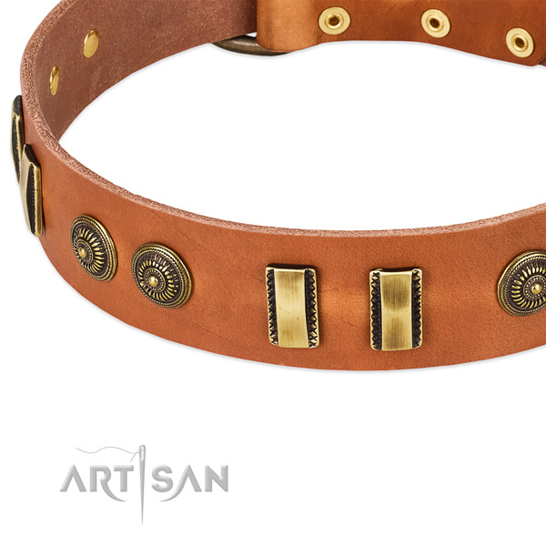 Rust resistant embellishments on natural leather dog collar for your dog