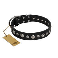 "Genteel Charm" FDT Artisan Black Leather Rottweiler Collar with Silver-like Round Conchos "Genteel Charm" FDT Artisan Black Leather Rottweiler Collar with Silver-like Round Conchos