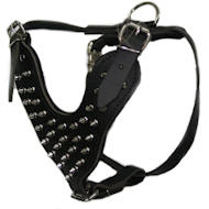Spiked Leather Dog Harnesses for Rottweiler-Handmade dog harness