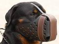 Leather Dog Muzzle For Rottweiler-Agitation Training muzzle M55