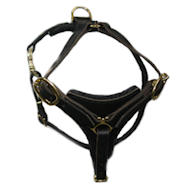 Tracking Walking leather dog harness- Rottweiler